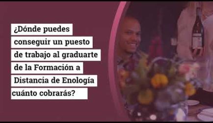 Infórmate de los puestos de trabajo y cuánto gana un titulado en la Formación de Enología: