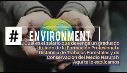 ¿Buscas conocer en qué centro de trabajo puedes entrar y cuál es el salario que ganarás al titularte de la FP de Grado Medio de Trabajos Forestales y de Conservación del Medio Natural a Distancia? Encuentra aquí la información