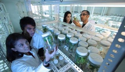 5 Formaciones recomendadas para obtener el título de Auxiliar de Laboratorio