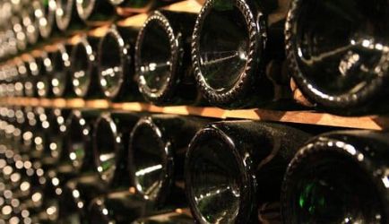 Las mejores Acciones Formativas para que te titules en FP Elaboración de Vinos y otras Bebidas